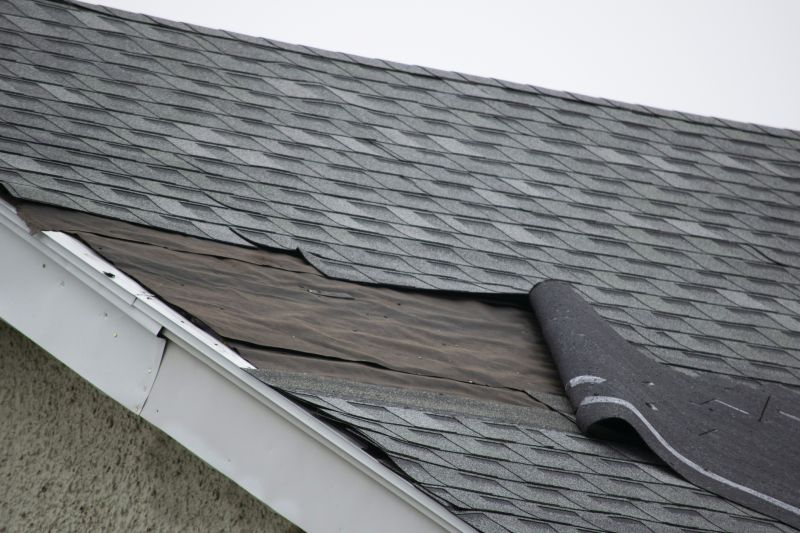 Asphalt Shingle Roof Repair